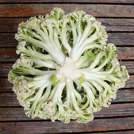 Bouquet, (F1) Cauliflower Seeds - Packet image number null